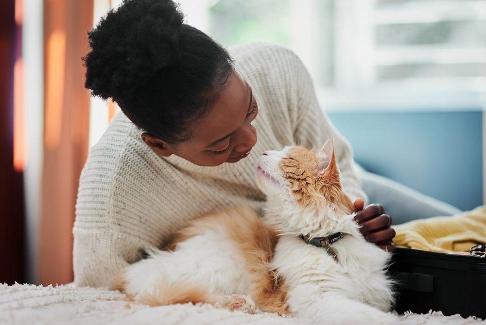 Why Pharmacy2U is in pet healthcare