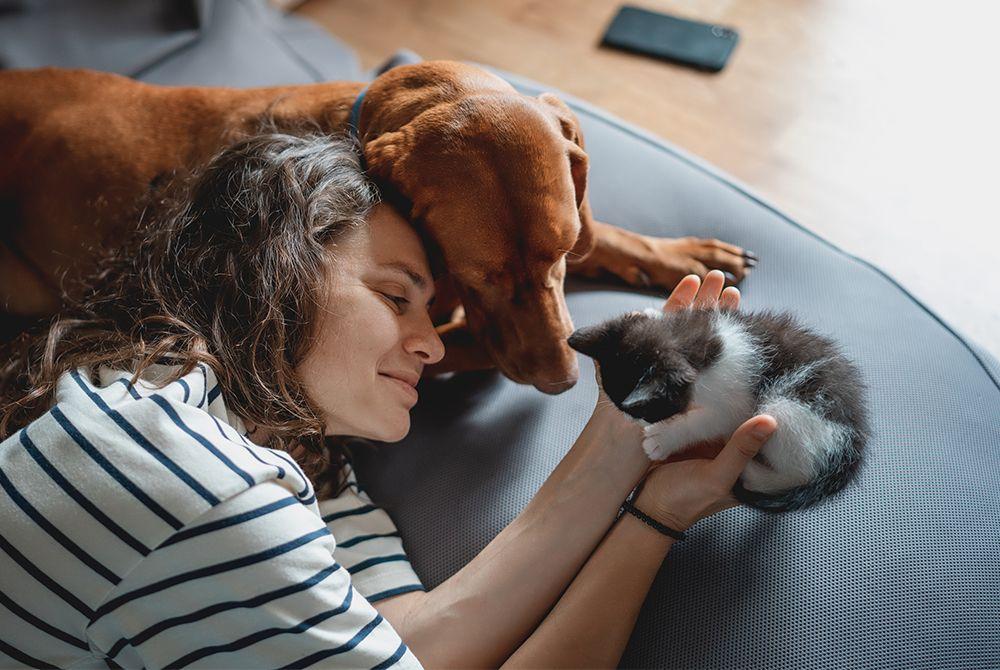 What is Pharmacy2U Pet Health? 
