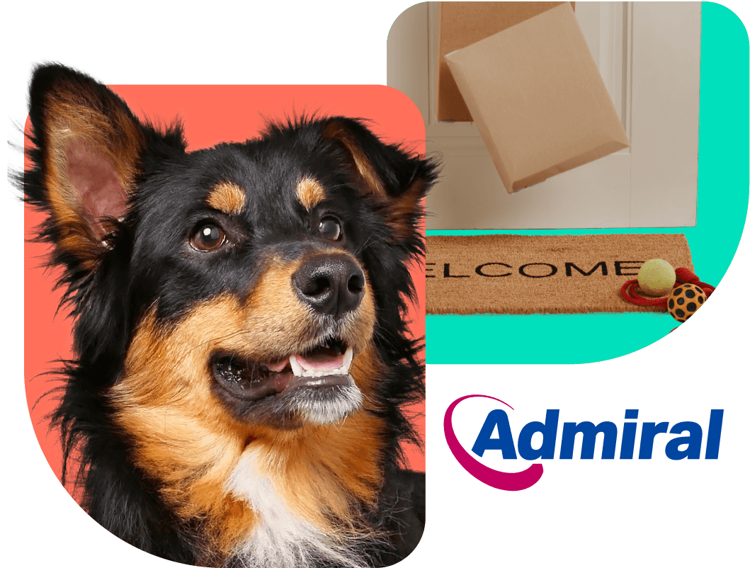 Order your pet prescriptions online