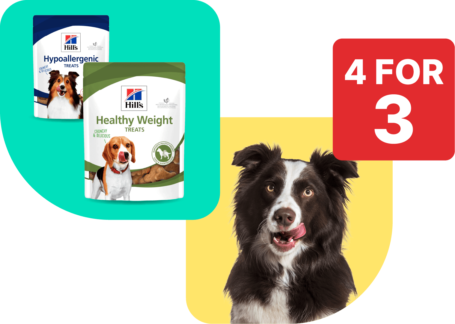 4 for 3 on Hill's Veterinary Dog Treats