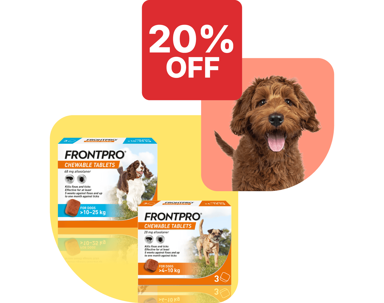 Save 20% on FRONTPRO