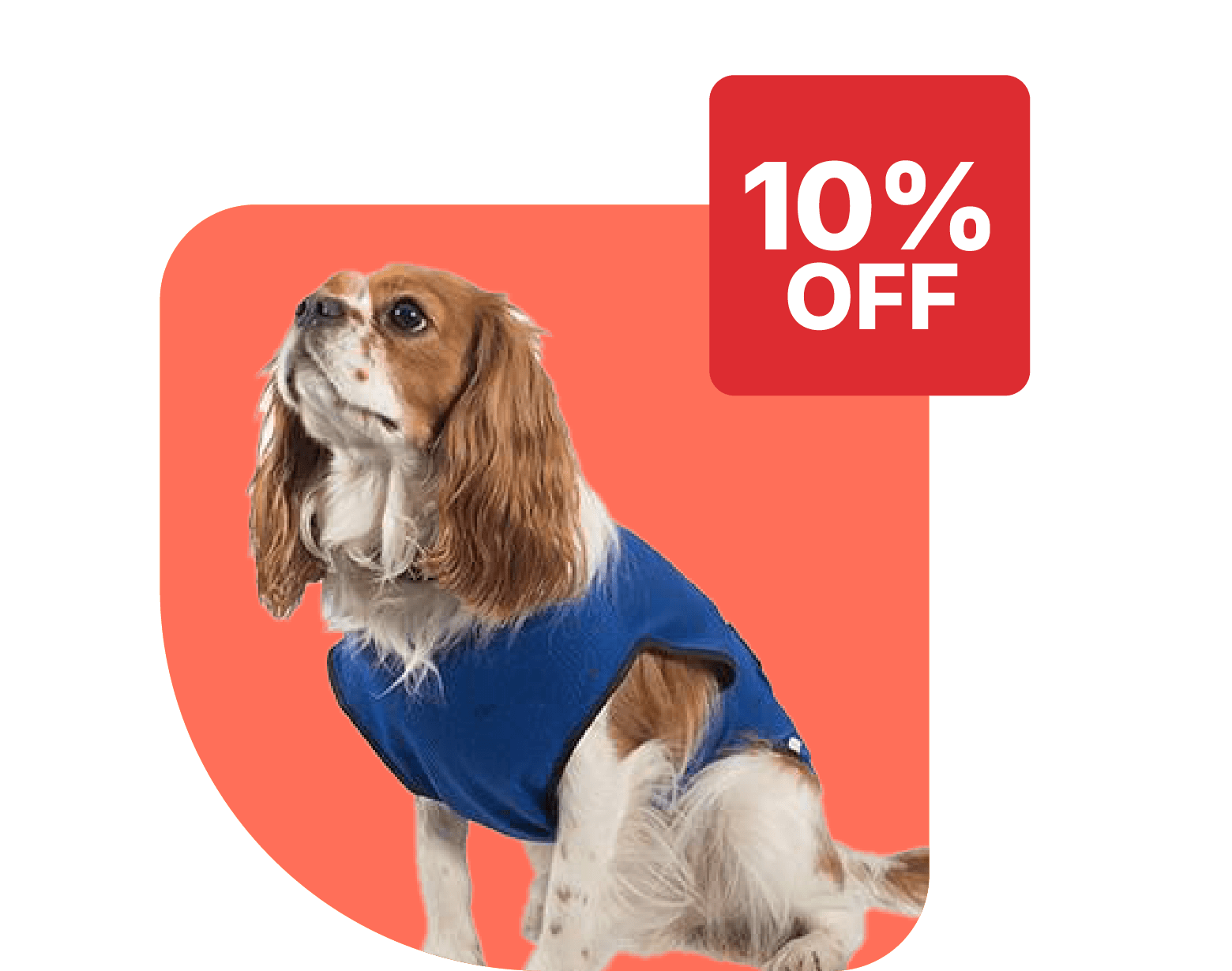 Save 10% on Ancol dog cooling products