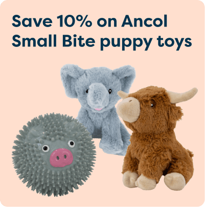 Ancol puppy toys sale: spiky ball, grey elephant, and brown highland cow plush with "Save 10%" text on a peach background.