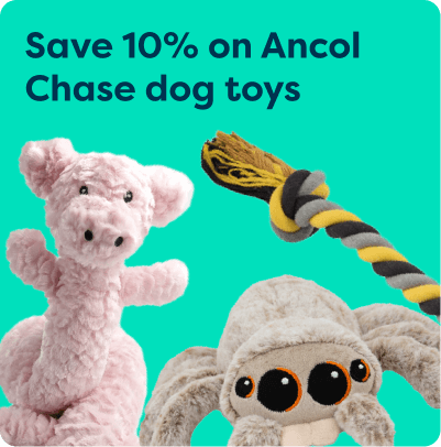 Plush pink pig, rope, and spider dog toys on a teal background with text: "Save 10% on Ancol Chase dog toys."