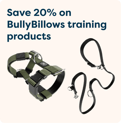 Green dog harness and black leash set beside text: "Save 20% on BullyBillows training products."