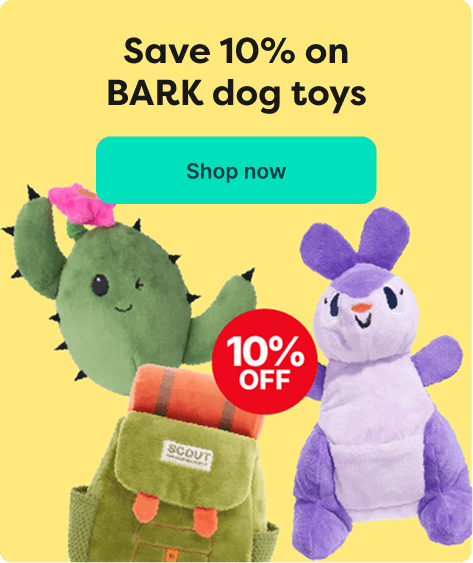 Promo banner for 10% off BARK dog toys featuring plush toys and a green backpack, with "Shop now" button.