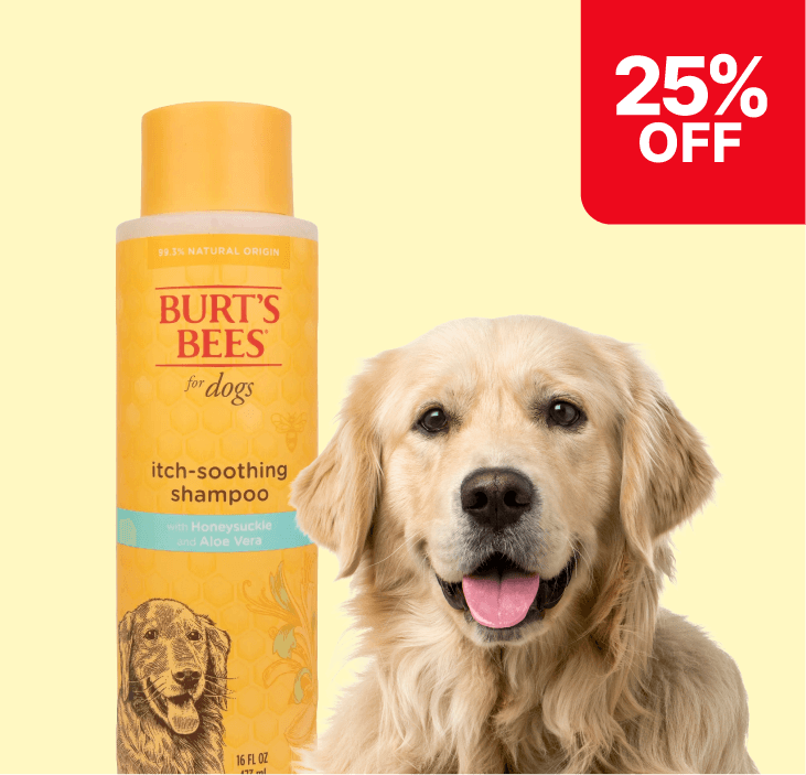 A golden retriever next to a bottle of Burt's Bees itch-soothing dog shampoo with a 25% off label in a red corner.
