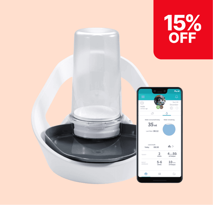 White pet water fountain with smartphone app displaying water consumption stats, set against a peach background. Red "15% OFF" label in the corner.