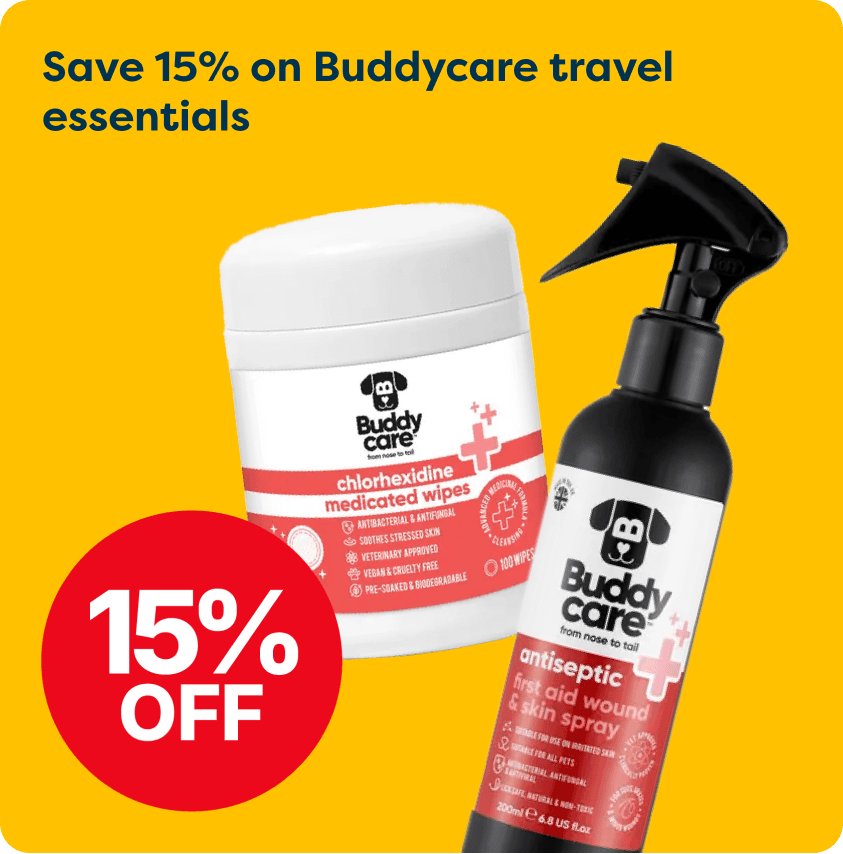 Buddycare travel essentials promo: chlorhexidine wipes and antiseptic spray with 15% off on a yellow background.