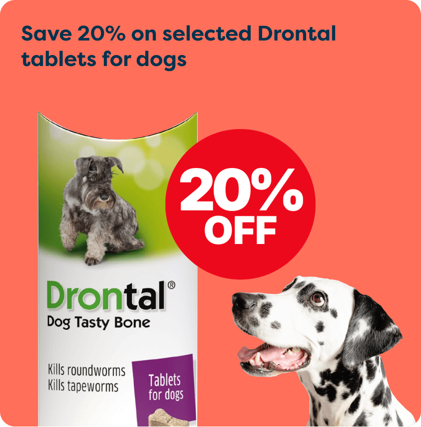 Promotional image for Drontal Dog Tasty Bone tablets. "20% off" with a Dalmatian and packaging featuring a small dog on red background.