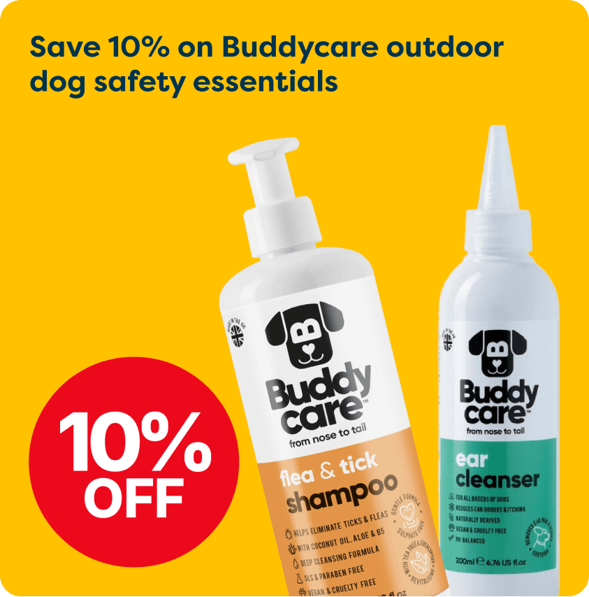 Buddycare dog essentials offer: 10% off flea & tick shampoo and ear cleanser. Yellow background, red discount circle.