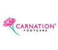 Carnation