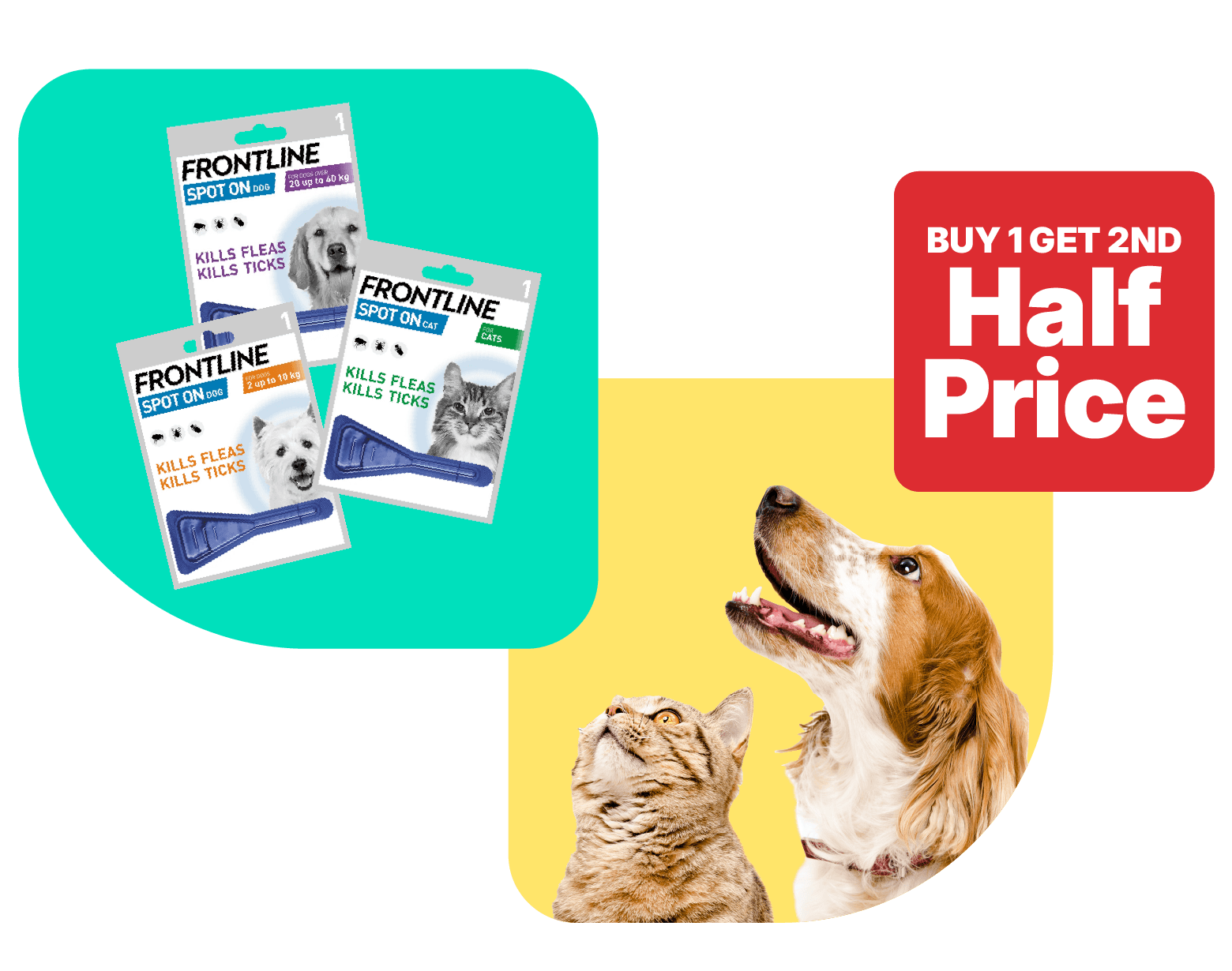 Buy 1 get 1 half price on selected Frontline spot-on flea & tick treatment