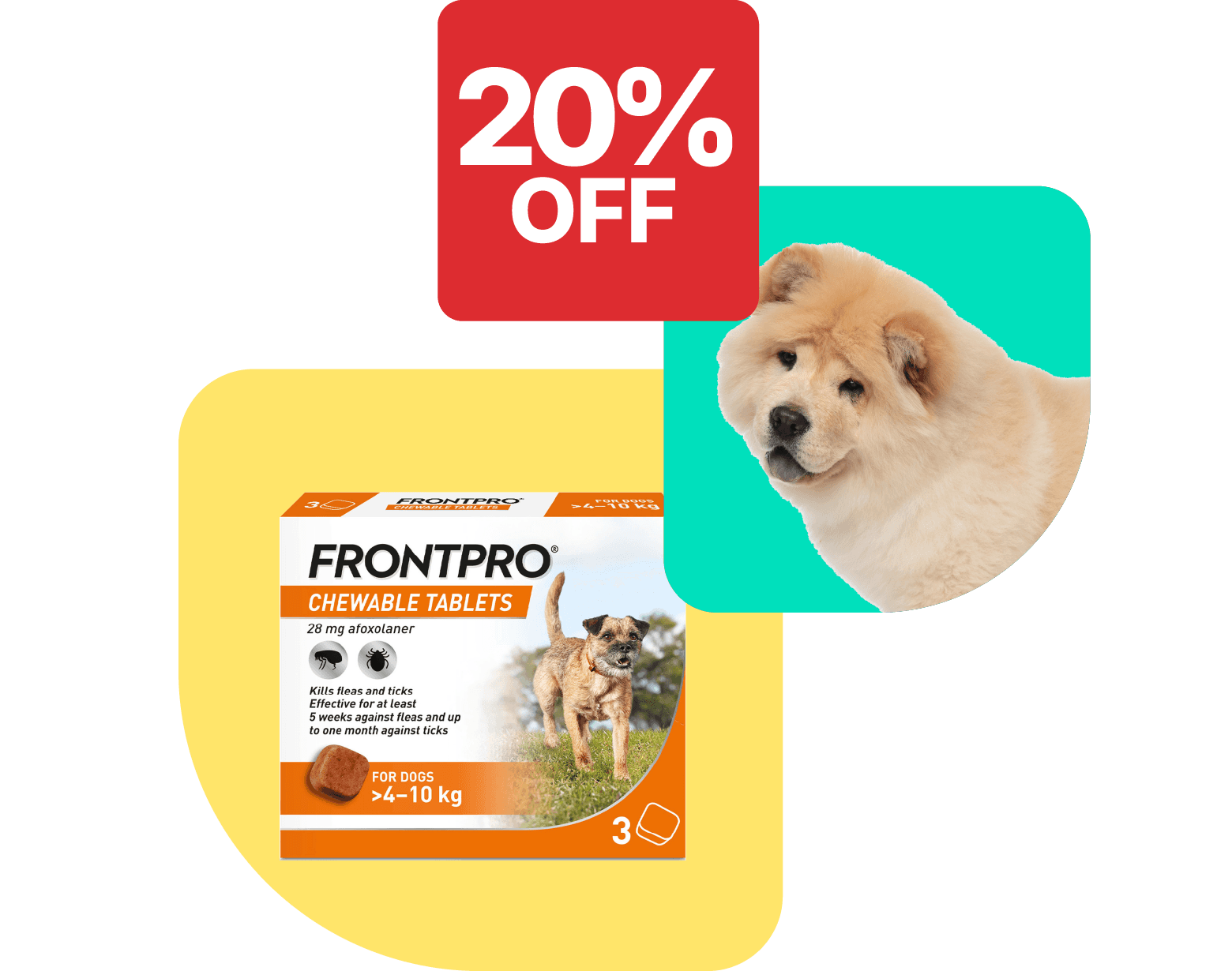 Save 20% on FRONTPRO
