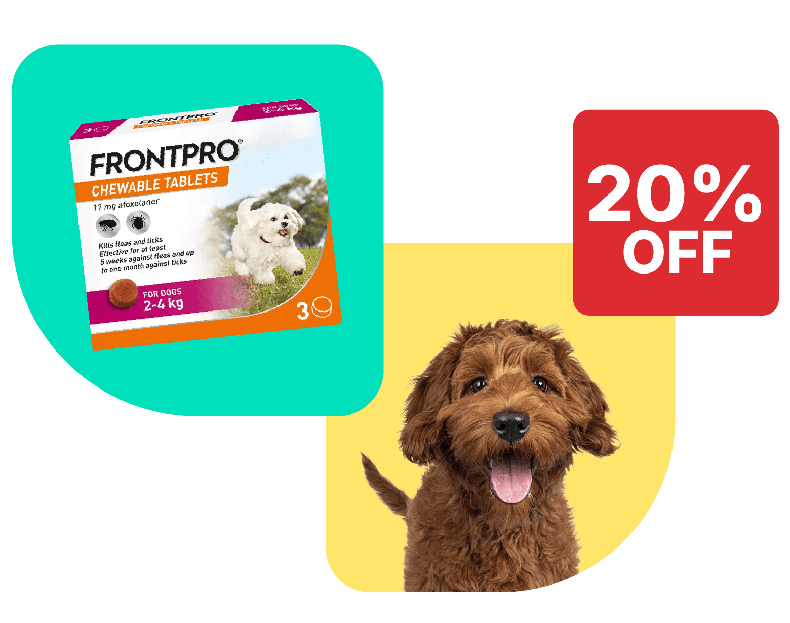 Save 20% on FRONTPRO