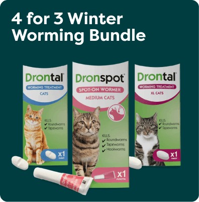 "4 for 3 Winter Worming Bundle" shows products for cats: Drontal and Dronspot, targeting roundworms, tapeworms, and hookworms.