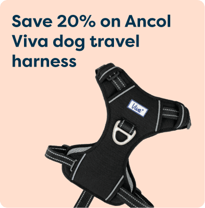 Black Ancol Viva dog travel harness on peach background with text offering 20% discount.