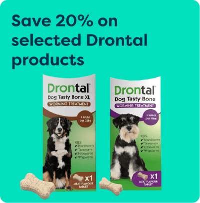 Packaging for Drontal Dog Tasty Bone XL and Bone worming treatments with 20% off offer for selected products, against a teal background.