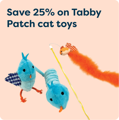 Save 25% on Tabby Patch cat toys