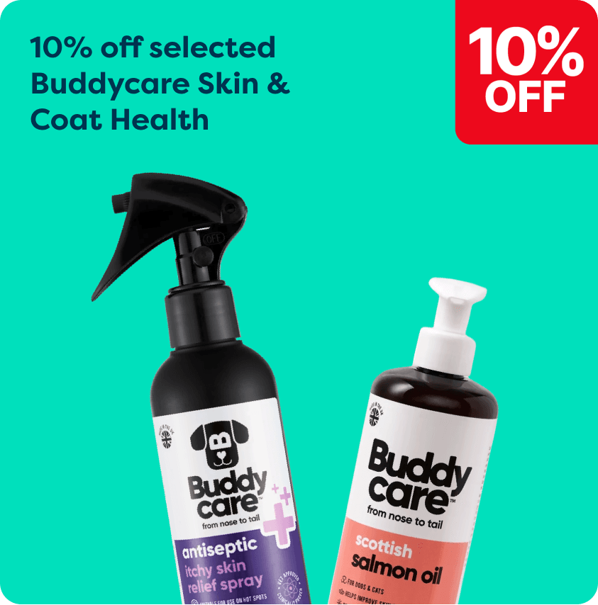 Buddycare antiseptic spray and salmon oil bottles with text offering 10% off selected skin and coat health products on a teal background.