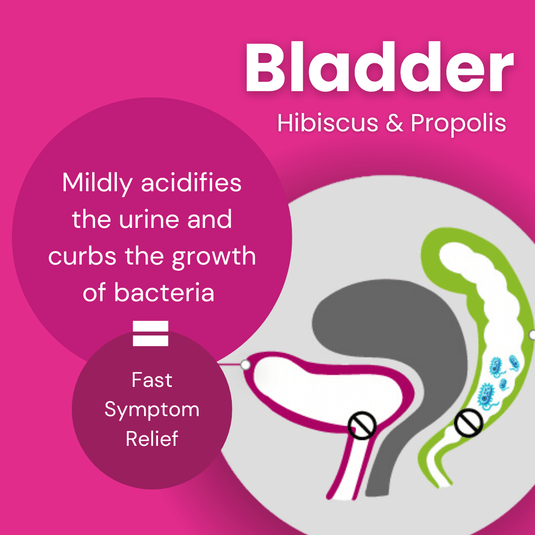 Utipro Plus 15 Capsules Image https://cdn11.bigcommerce.com/s-g585yu857h/images/stencil/1280w/products/12175/23302/Bladder_-_Hibiscus_Propolis__23673.1762190309.png1