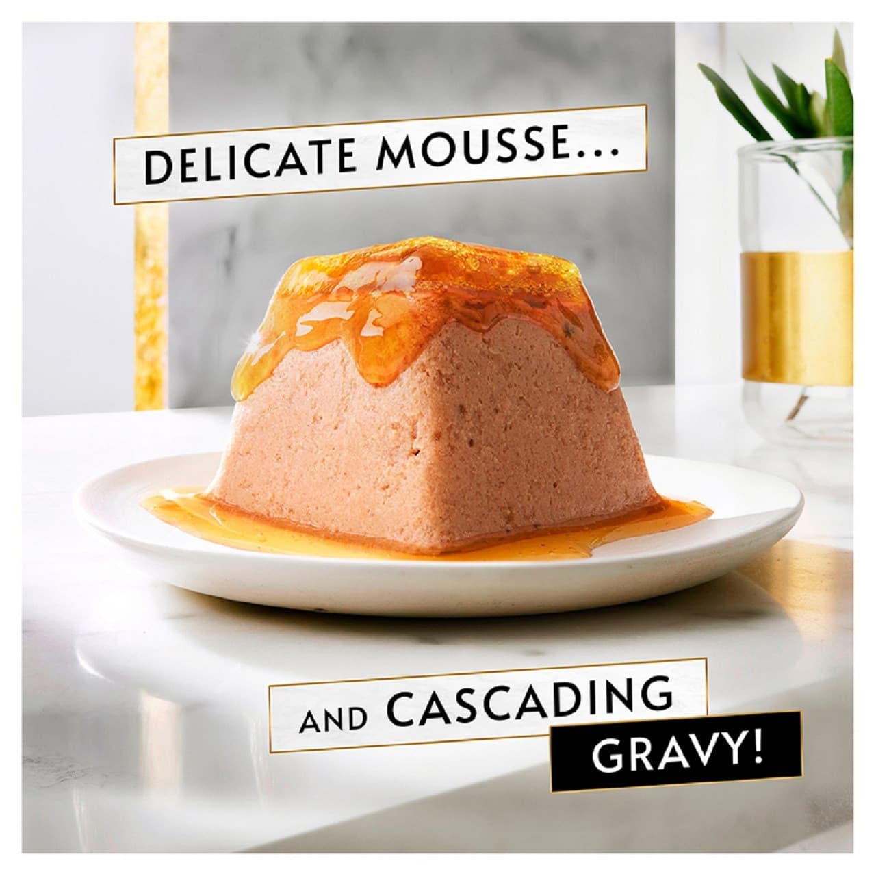 Gourmet Revelations Mousse with Chicken and Gravy 4 x 57g Image https://cdn11.bigcommerce.com/s-g585yu857h/images/stencil/1280w/products/13070/22737/Gourmet-Revelations-Adult-Wet-Cat-Food-Mousse-Chicken-4x57g__95469.1782902959.jpg1
