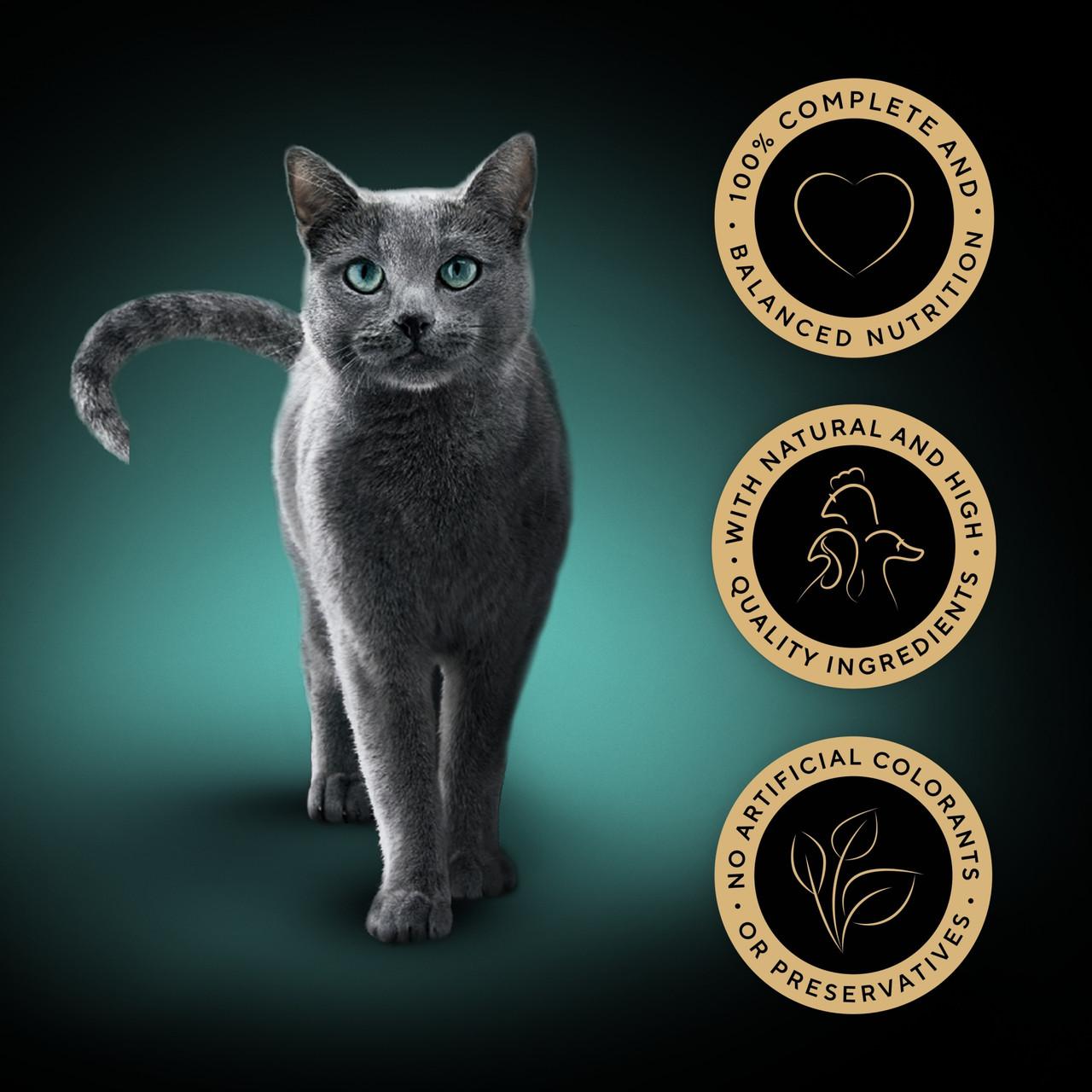 SHEBA Select Slices Wet Cat Food Trays Poultry Selection in Gravy 32 x 85g Image https://cdn11.bigcommerce.com/s-g585yu857h/images/stencil/1280w/products/13145/22887/SHEBA-Select-Slices-Wet-Cat-Food-Trays-Poultry-Selection-in-Gravy-32-x-85g__19236.1761322410.jpg1