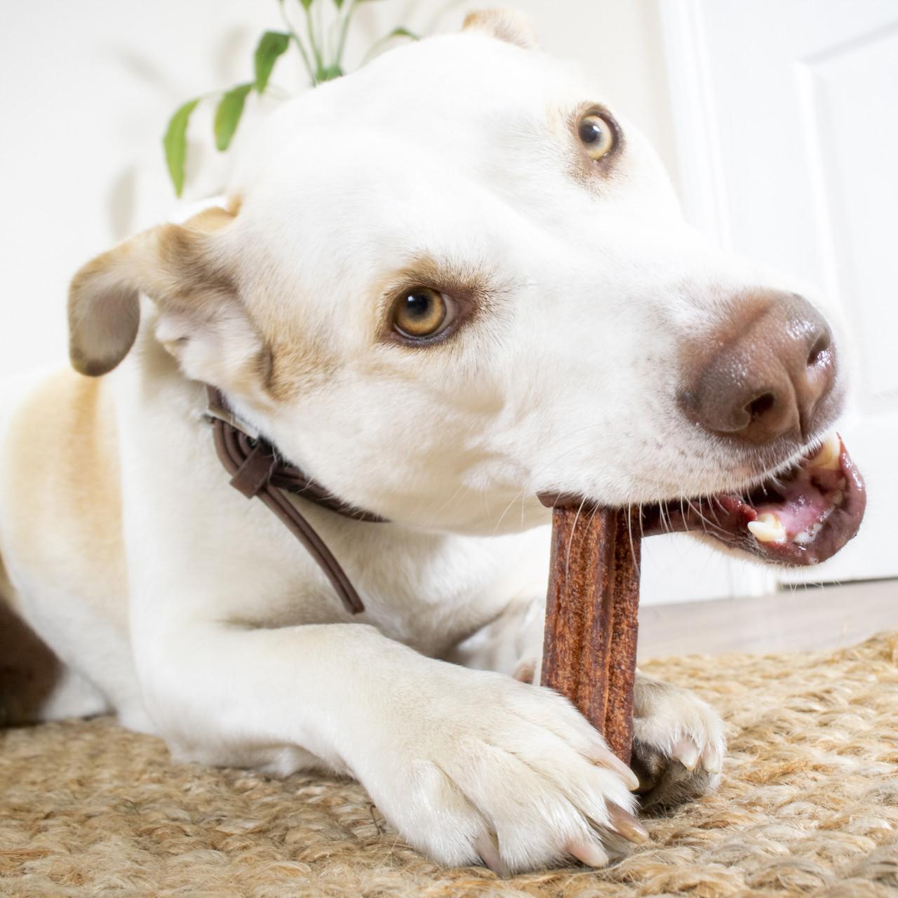 Elkwood Natural Vegetable Sponge Dental Sticks 7pk for Dogs Image https://cdn11.bigcommerce.com/s-g585yu857h/images/stencil/1280w/products/13317/22892/Elkwood-Natutal-Vegtable-Sponge-Dental-Sticks-7pk-for-Dogs__81612.1767711482.jpg1