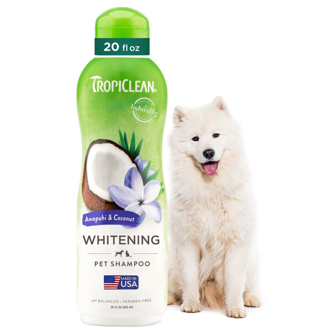 TropiClean Awapuhi and Coconut Shampoo for Dogs and Cats 355ml Image https://cdn11.bigcommerce.com/s-g585yu857h/images/stencil/1280w/products/13462/22902/TropiClean-Awapuhi-and-Coconut-Shampoo-355ml__46153.1761322421.jpg1