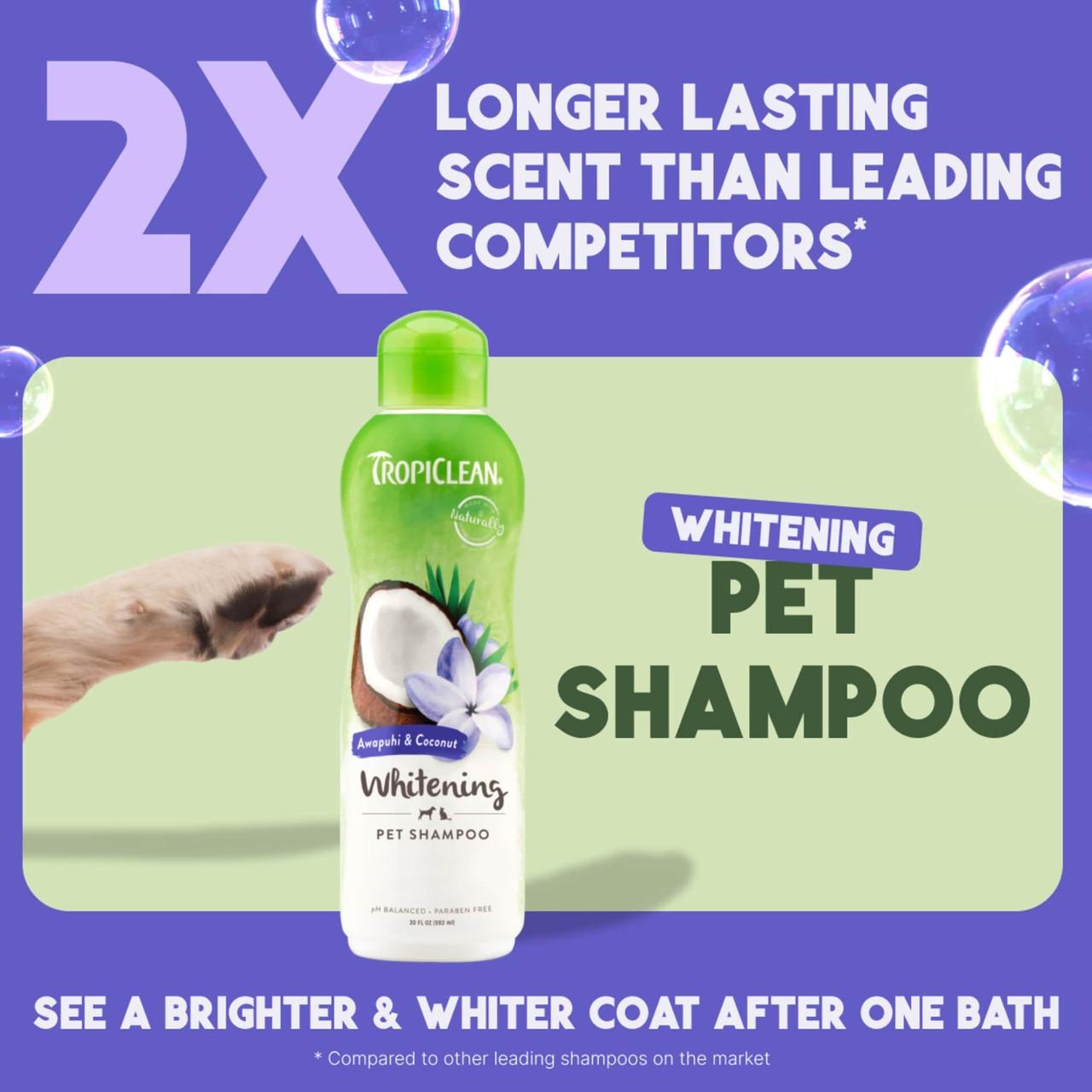 TropiClean Awapuhi and Coconut Shampoo for Dogs and Cats 355ml Image https://cdn11.bigcommerce.com/s-g585yu857h/images/stencil/1280w/products/13462/22903/TropiClean-Awapuhi-and-Coconut-Shampoo-355ml__35678.1761322422.jpg1
