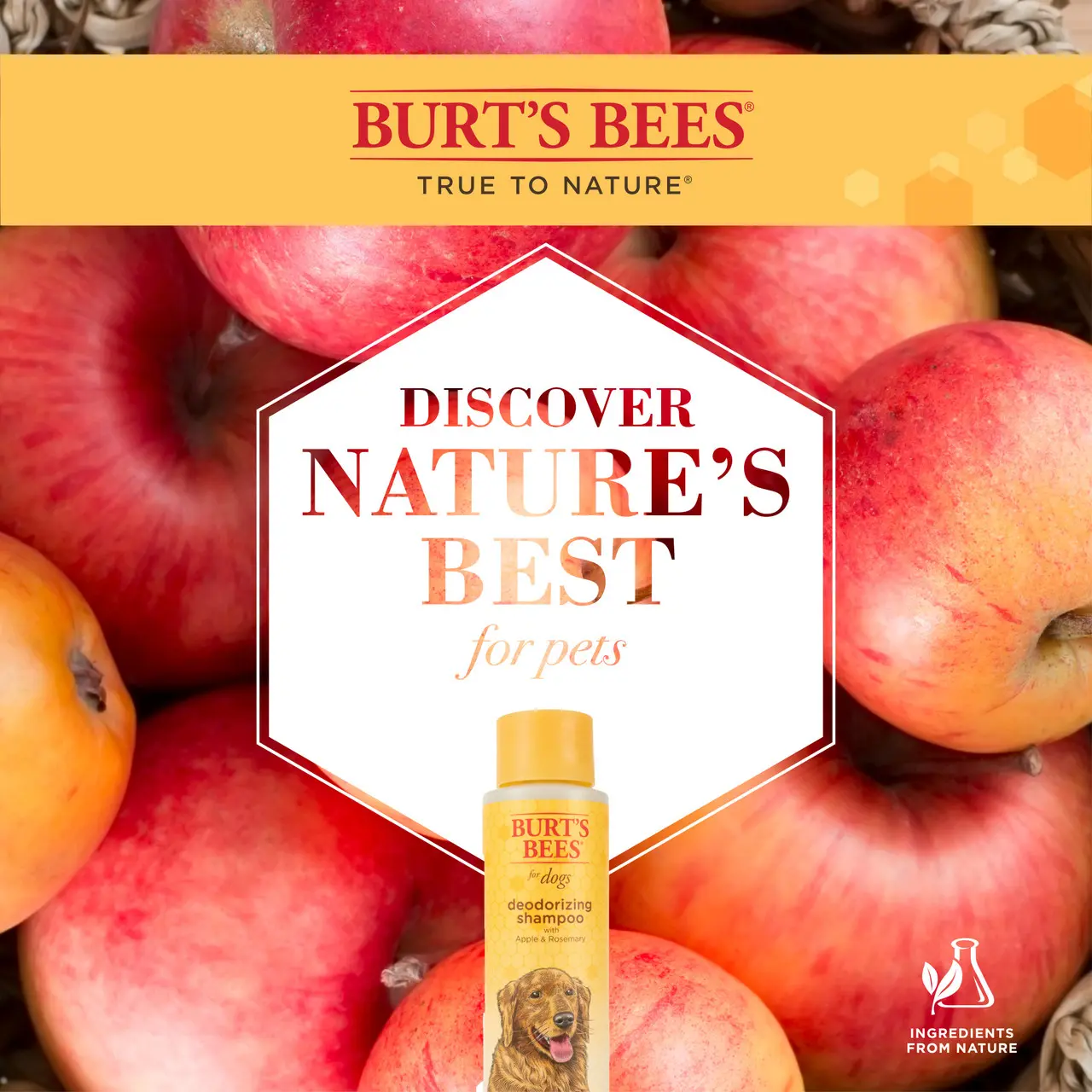 Burt's Bees Deodorizing Shampoo For Dogs 16oz Image https://cdn11.bigcommerce.com/s-g585yu857h/images/stencil/1280w/products/13538/22958/Burt%27s-Bees-Deodorizing-Shampoo-For-Dogs-16oz__78624.1782900964.jpg1