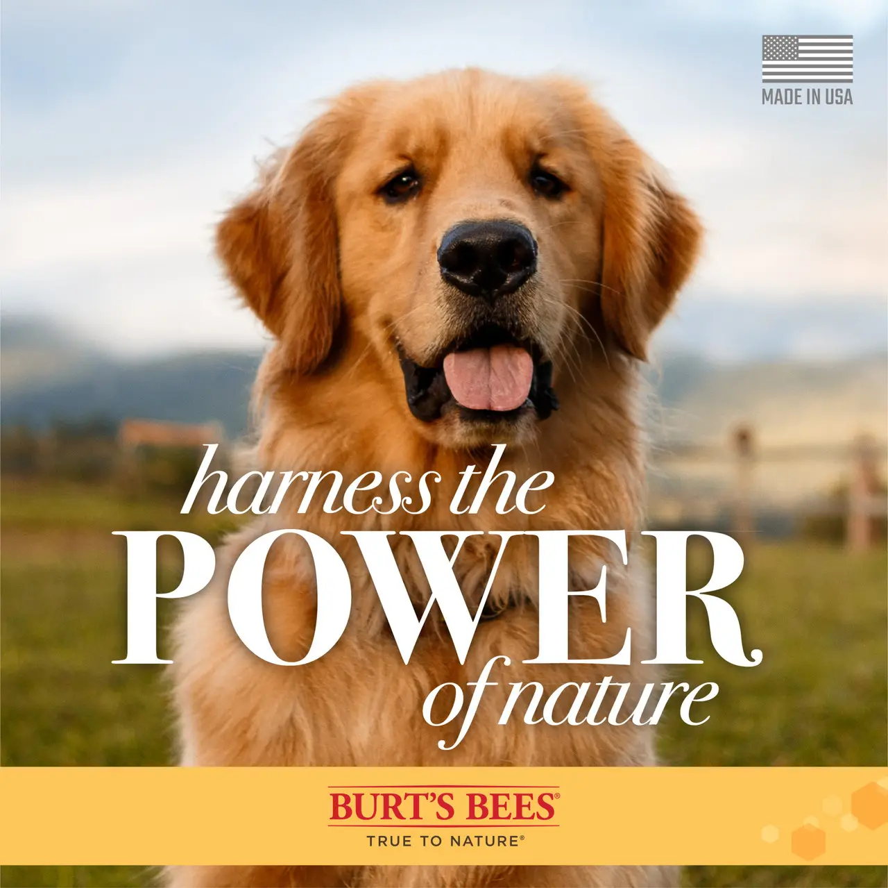 Burt's Bees Deodorizing Spray For Dogs 10oz Image https://cdn11.bigcommerce.com/s-g585yu857h/images/stencil/1280w/products/13547/22964/Burt%27s-Bees-Deodorizing-Spray-For-Dogs-10oz__69233.1782903197.jpg1