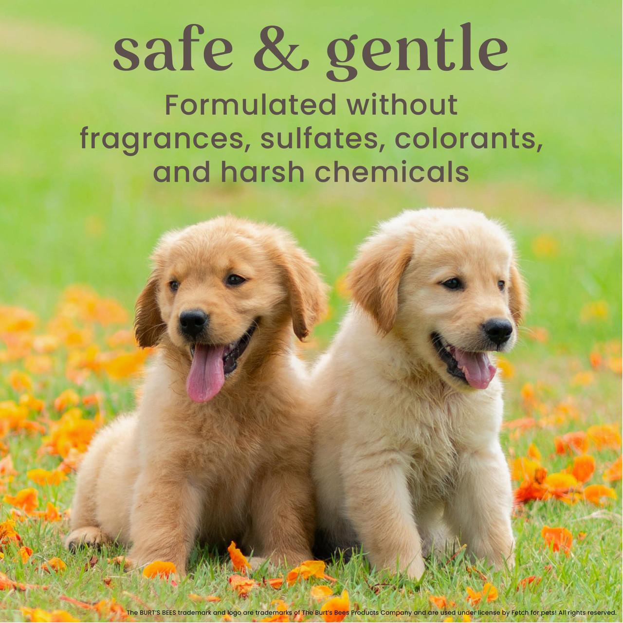 Burts Bees Tearless 2 in1 Shampoo & Conditioner For Puppies 16oz Image https://cdn11.bigcommerce.com/s-g585yu857h/images/stencil/1280w/products/13565/22970/Burts-Bees-Tearless-2-in1-Shampoo--26-Conditioner-For-Puppies-16oz__87027.1761322472.jpg1