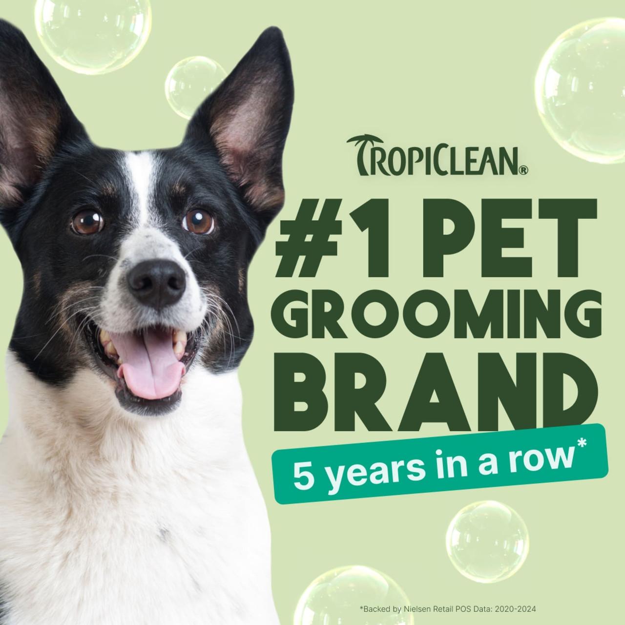 TropiClean Oatmeal and Tea Tree Shampoo for Dogs and Cats 355ml Image https://cdn11.bigcommerce.com/s-g585yu857h/images/stencil/1280w/products/13581/22979/TropiClean-Oatmeal-and-Tea-Tree-Shampoo-355ml__56059.1761322479.jpg1