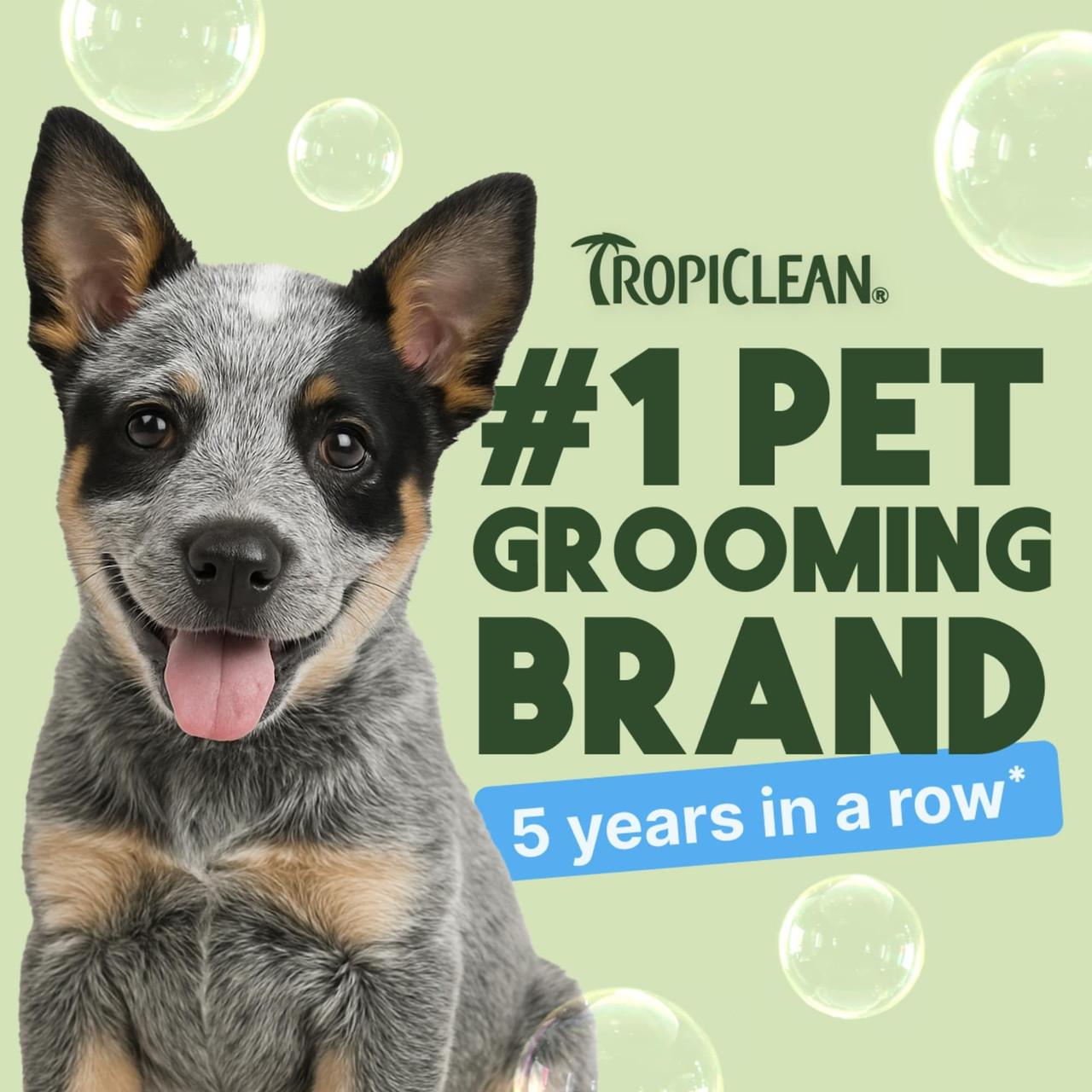 TropiClean Gentle Coconut Shampoo for Dogs and Cats 355ml Image https://cdn11.bigcommerce.com/s-g585yu857h/images/stencil/1280w/products/13588/22982/TropiClean-Gentle-Coconut-Shampoo-355ml__50114.1761322482.jpg1