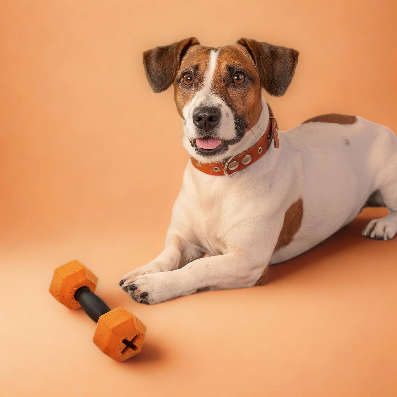 Nike Grind Dumbell Chew Toy & Treat Dispenser for Small/Medium Dogs Image https://cdn11.bigcommerce.com/s-g585yu857h/images/stencil/1280w/products/13686/23006/Medium__41062.1782903206.jpg1