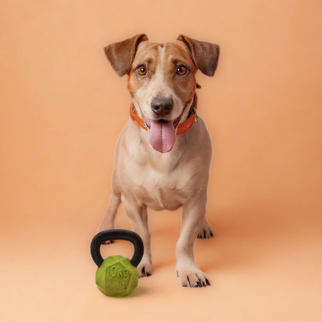 Nike Grind Kettle Ball Chew Toy & Treat Dispenser Small/Medium Dog Toy Image https://cdn11.bigcommerce.com/s-g585yu857h/images/stencil/1280w/products/13745/23142/Medium-Dog-Toy__15596.1761322603.jpg1