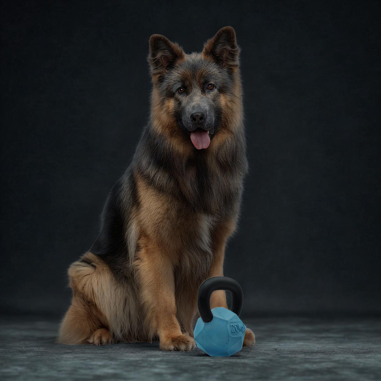 Nike Grind Kettle Ball Chew Toy & Treat Dispenser Medium/Large Dog Toy Image https://cdn11.bigcommerce.com/s-g585yu857h/images/stencil/1280w/products/13753/23146/Large-Dog-Toy__52954.1761322606.jpg1
