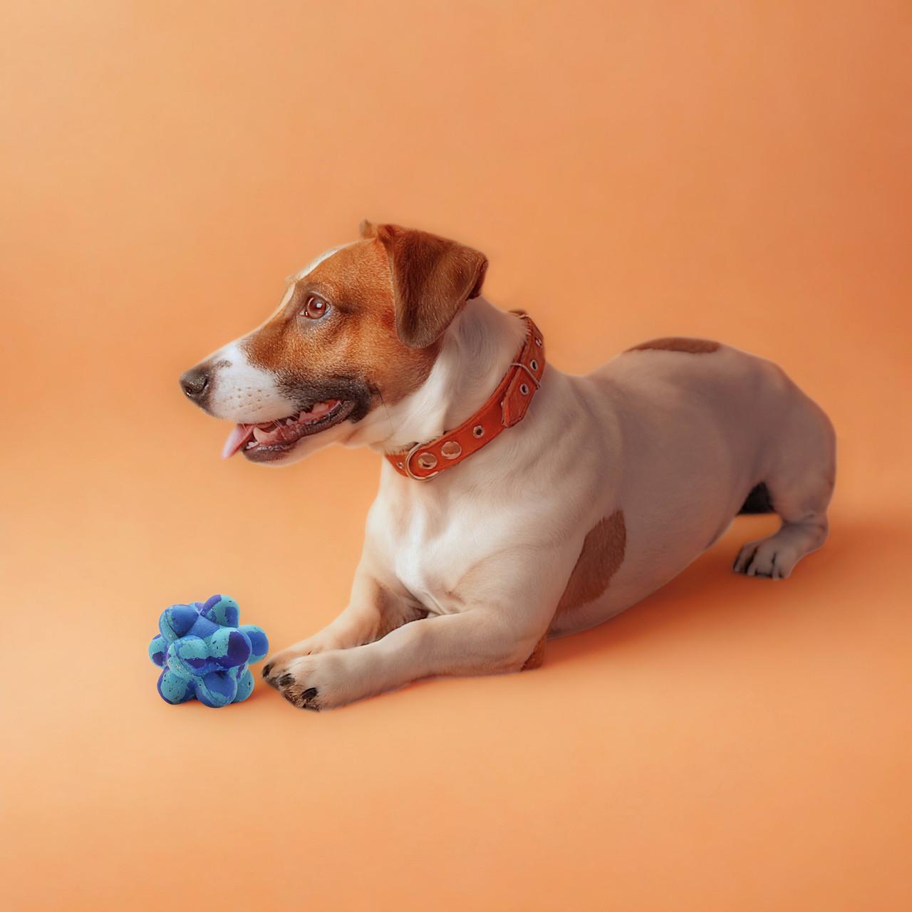 Nike Grind Pop It Ball - Chew & Play Small/Medium Dog Toy Image https://cdn11.bigcommerce.com/s-g585yu857h/images/stencil/1280w/products/13763/23027/Medium-Dog-Toy__94560.1761322516.jpg1