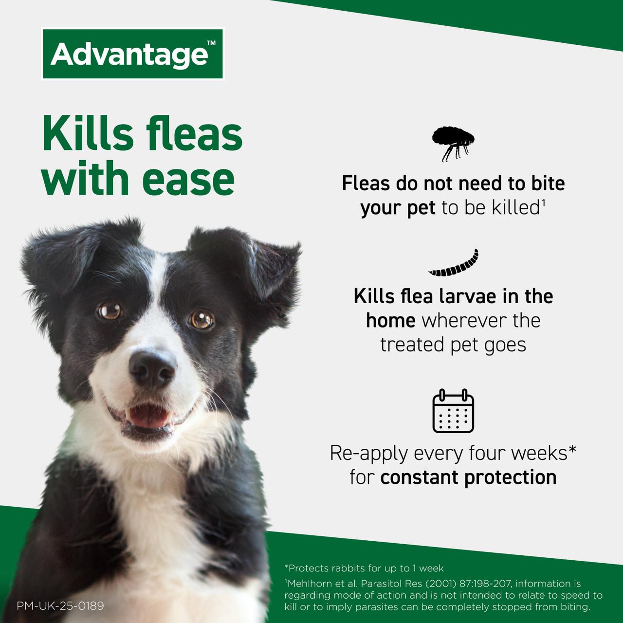 Advantage Spot On Flea Treatment Solution Image https://cdn11.bigcommerce.com/s-g585yu857h/images/stencil/1280w/products/13994/35458/4007221046837-05__48886.1785165173.jpg1
