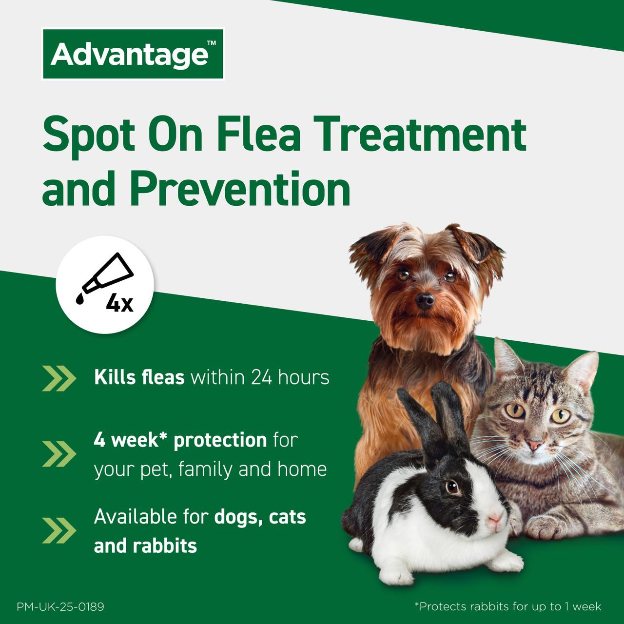 Advantage Spot On Flea Treatment Solution Image https://cdn11.bigcommerce.com/s-g585yu857h/images/stencil/1280w/products/13994/35459/4007221046837-03__47092.1785165173.jpg1