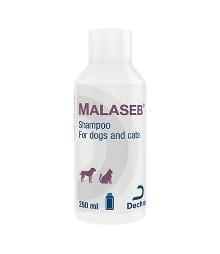 Malaseb Shampoo for Dogs and Cats - 250ml Image https://cdn11.bigcommerce.com/s-g585yu857h/images/stencil/1280w/products/13998/24182/Malaseb-Shampoo-for-Dogs-and-Cats-250ML__76338.1764229444.jpg1