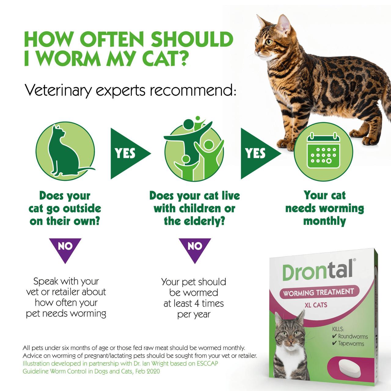 Drontal XL Wormer Tablets for Large Cats - Single tablet Image https://cdn11.bigcommerce.com/s-g585yu857h/images/stencil/1280w/products/14003/31672/Drontal_XL_Wormer_Tablets_for_Large_Cats_-_Single_tablet_05__36970.1779882071.jpg1