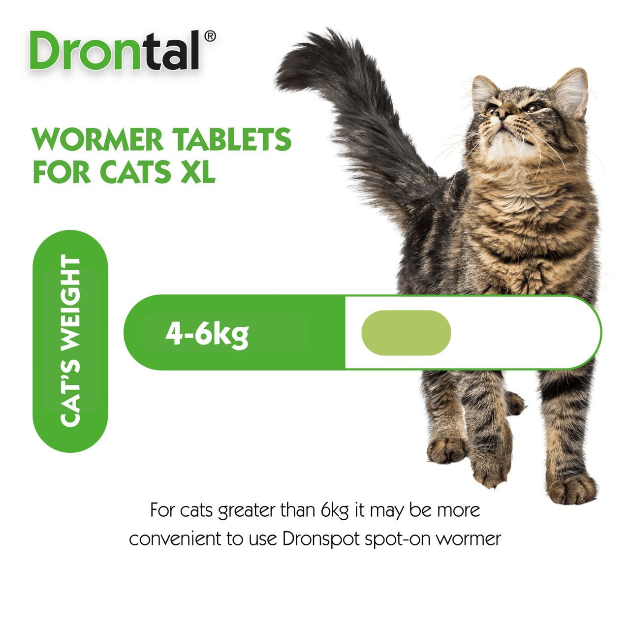 Drontal XL Wormer Tablets for Large Cats - Single tablet Image https://cdn11.bigcommerce.com/s-g585yu857h/images/stencil/1280w/products/14003/31674/Drontal_XL_Wormer_Tablets_for_Large_Cats_-_Single_tablet_03__25117.1779882070.jpg1