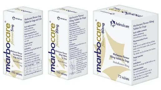 Marbocare Flavour Tablets for Dogs and Cats Image https://cdn11.bigcommerce.com/s-g585yu857h/images/stencil/1280w/products/14005/24189/Marbocare-Flavour-Tablets-Single-Tablet-5mg__73902.1764229448.jpg1