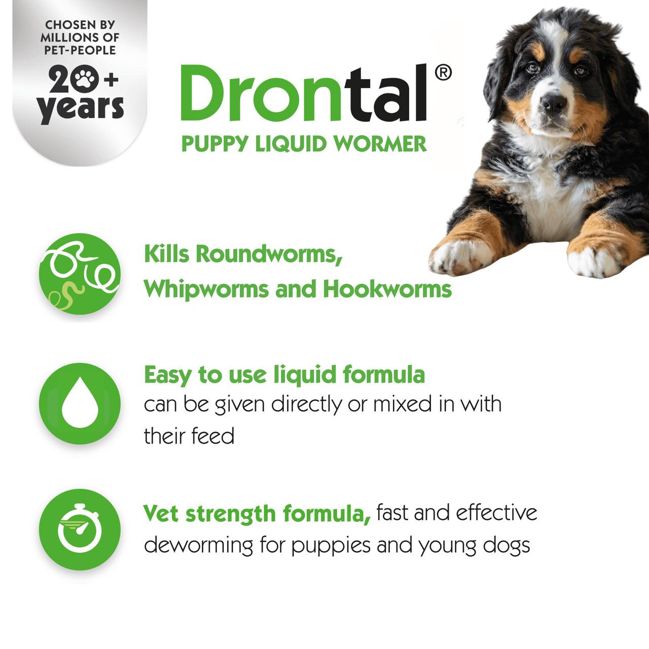 Drontal Puppy Wormer Suspension - 50ml Bottle Image https://cdn11.bigcommerce.com/s-g585yu857h/images/stencil/1280w/products/14011/31667/Drontal_Puppy_Wormer_Suspension_-_50ml_Bottle_04__14928.1779881918.jpg1