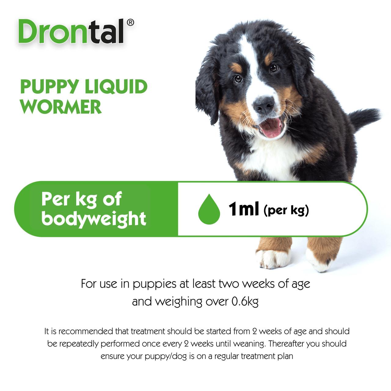 Drontal Puppy Wormer Suspension - 50ml Bottle Image https://cdn11.bigcommerce.com/s-g585yu857h/images/stencil/1280w/products/14011/31668/Drontal_Puppy_Wormer_Suspension_-_50ml_Bottle_03__07220.1779881918.jpg1