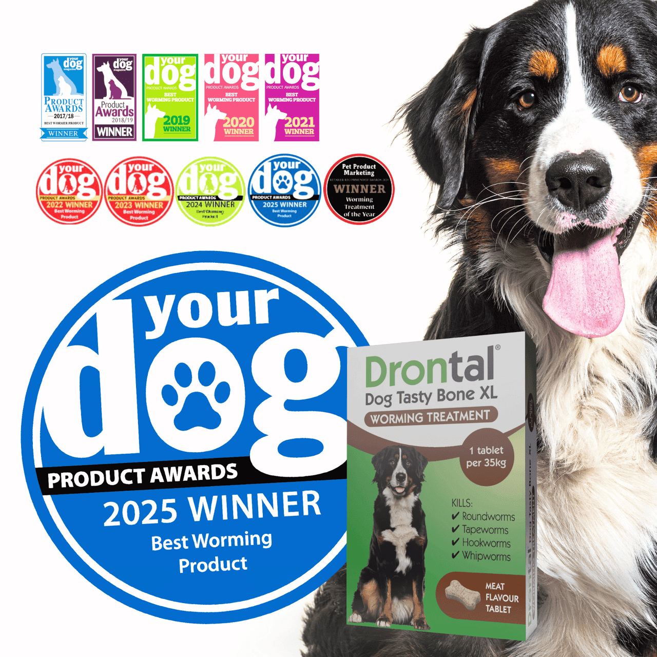 Drontal Tasty Bone XL Wormer Tablets for Dogs (Over 20kg) - Single tablet Image https://cdn11.bigcommerce.com/s-g585yu857h/images/stencil/1280w/products/14027/32998/4007221047629-03__88221.1781784954.png1