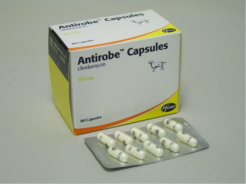 Antirobe Capsules for Dogs and Cats Image https://cdn11.bigcommerce.com/s-g585yu857h/images/stencil/1280w/products/14031/24215/Antirobe-Capsules-Single-Capsule-150mg__97373.1764229463.jpg1