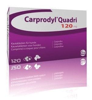 Carprodyl Quadri Tablets for Dogs Image https://cdn11.bigcommerce.com/s-g585yu857h/images/stencil/1280w/products/14039/24223/Carprodyl-Quadri-Tablets-for-Dogs-Single-Tablet-120mg__52816.1764229468.jpg1